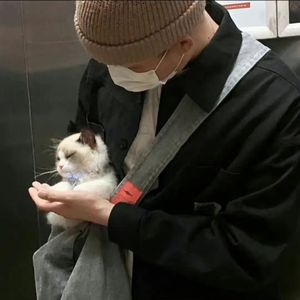 獸交Ⅴideos另类2023年
