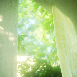 獸交Ⅴideos另类2023年
