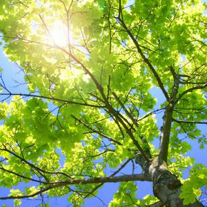 獸交Ⅴideos另类2023年
